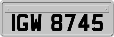 IGW8745