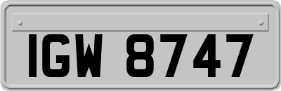 IGW8747