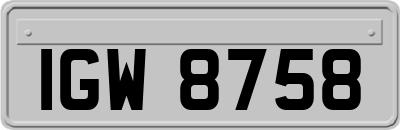 IGW8758