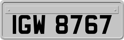IGW8767