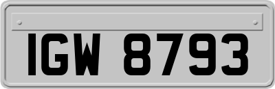 IGW8793