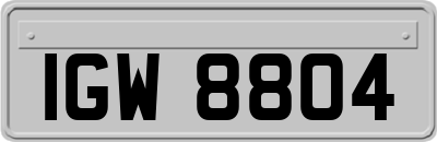 IGW8804