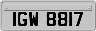 IGW8817