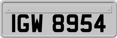 IGW8954