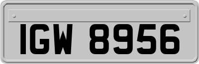 IGW8956