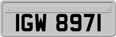 IGW8971