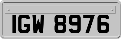 IGW8976
