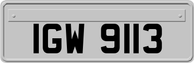 IGW9113