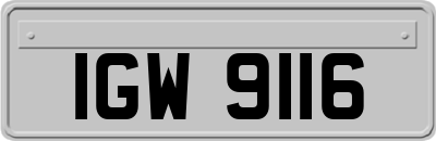 IGW9116