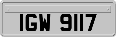 IGW9117