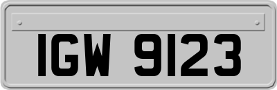 IGW9123