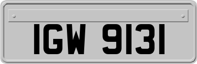 IGW9131