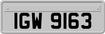 IGW9163