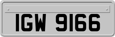 IGW9166