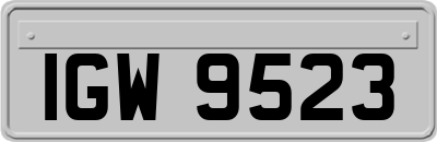 IGW9523