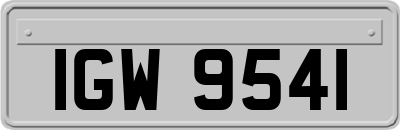IGW9541