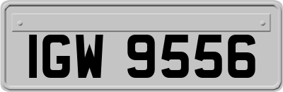 IGW9556