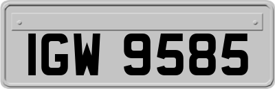 IGW9585
