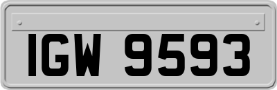 IGW9593