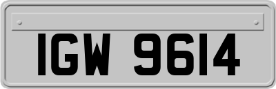 IGW9614
