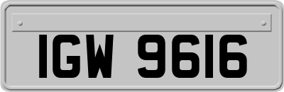 IGW9616