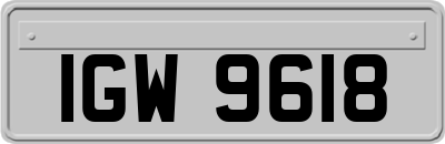 IGW9618