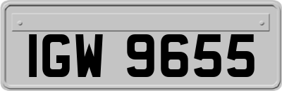 IGW9655