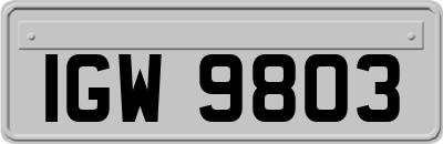 IGW9803