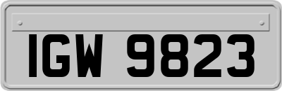 IGW9823