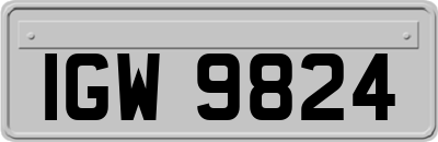 IGW9824