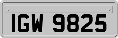 IGW9825