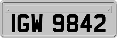 IGW9842