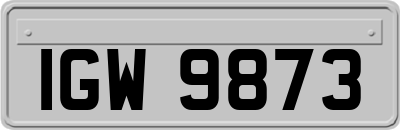 IGW9873
