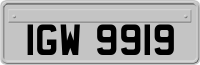 IGW9919