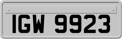 IGW9923