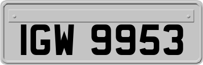 IGW9953