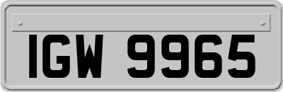 IGW9965