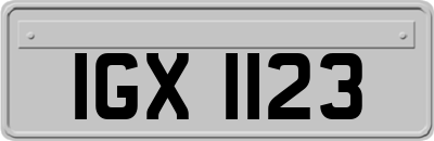 IGX1123