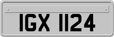 IGX1124
