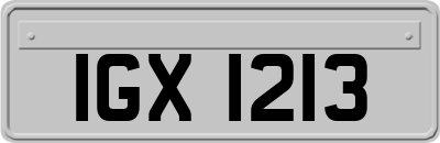 IGX1213