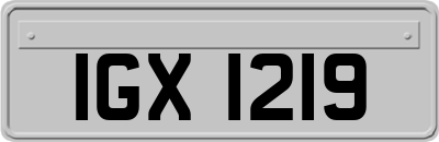 IGX1219