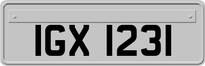 IGX1231