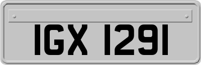 IGX1291