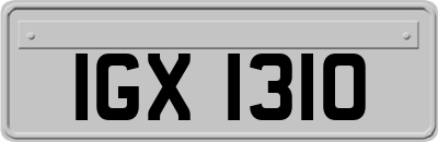 IGX1310