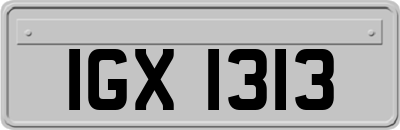 IGX1313
