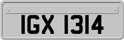 IGX1314