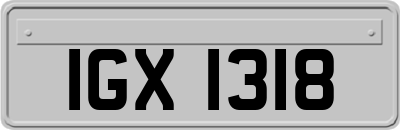 IGX1318