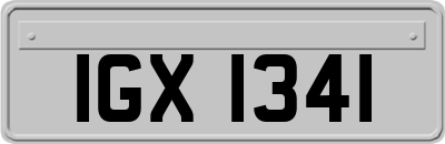 IGX1341