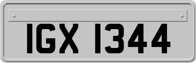 IGX1344