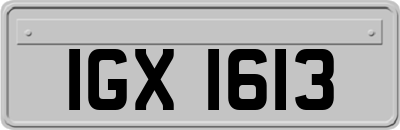 IGX1613